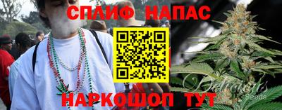 меф Гатчина