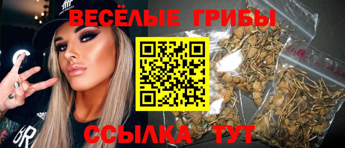 Галлюциногенные грибы прущие грибы  Галлюциногенные грибы Psilocybe  Нурлат  Вход с VPN 